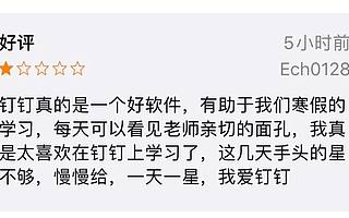 釘釘被小學(xué)生“吊打”，在線辦公“虛火”過盛？