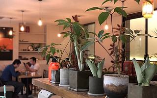 疫情下，咖啡馆、餐厅、酒吧、商场...的老板，究竟是怎么过的？