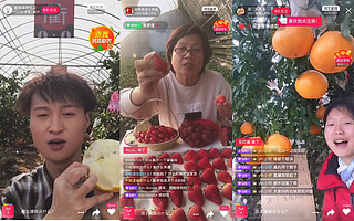 老乡“春播”忙:上万个蔬菜大棚变成淘宝直播间