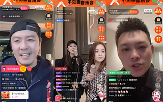 情人节那天，薇娅携群星为滞销的水果蔬菜办了一场“不见面音乐会”