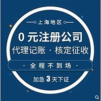 上海自贸区公司注册