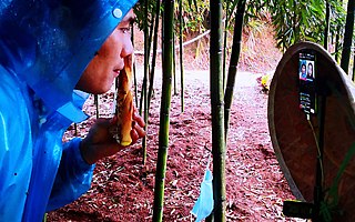 化妆品直播间成了菜市场！1000个商家在淘宝直播跨界卖菜