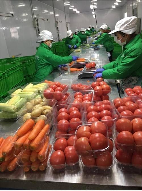 新鲜不断货,宅家更安心!成都蔬菜生鲜配送到家再升级