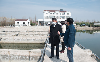 周斌调研春耕备耕及养殖业复产工作