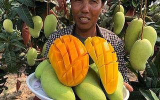 5万多吨滞销农产品卖掉了！阿里爱心助农 吃货一呼百应