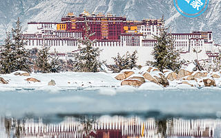 淘宝直播“云春游”又来了！1388岁的布达拉宫首度开播