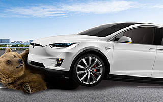 惨败过后，那些还在「做空」特斯拉的投资者是怎么想的？