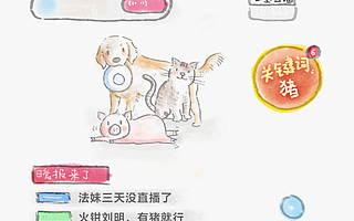 淘宝经济暖报：每天100万人在淘宝直播看宠物，猪最受欢迎