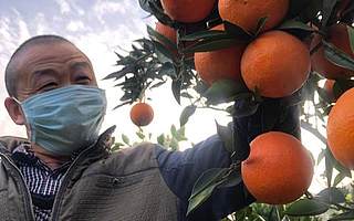 給醫院送口罩，幫農民賣農貨，阿里巴巴抗疫助農“武漢會師”