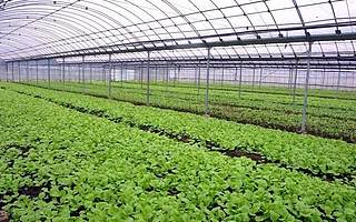 美团领投6亿元 这家老牌食材B2B平台分公司130家 拥有种植基地20万亩