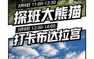 淘宝直播“云春游”升级：国宝大熊猫首次亮相 布达拉宫首场5G直播