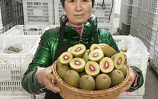 “造血式助农”让滞销果变网红果 淘宝一月卖掉1.5万吨四川水果！