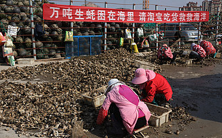 淘寶已售10萬噸滯銷農(nóng)產(chǎn)品，數(shù)字技術(shù)“造血式助農(nóng)”成為趨勢