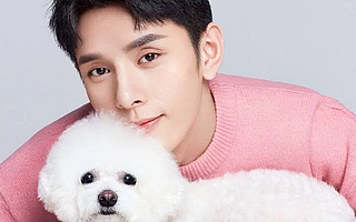 每秒卖出2000件，李佳琦成功把“N姓女明星”打造成带货王