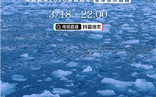 向南17052公里，在抖音里我看了一场南极直播