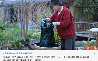 李子柒复工、回形针踩雷，YouTube上中国网红的残酷搏杀