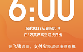 湖北复航 飞猪相关机票预订翻倍 乘机需出示支付宝健康码