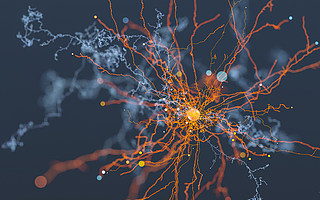 华裔教授AI解码脑电波，上演现实版“读脑术”