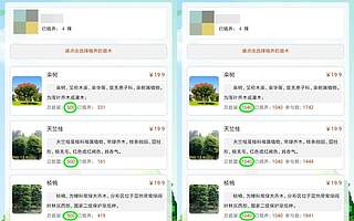 天府新区的未来：天府市 or 天府镇 ？