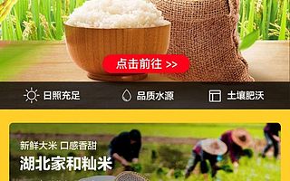 阿里发布“数字粮仓”计划，100个优质粮食基地直供全国