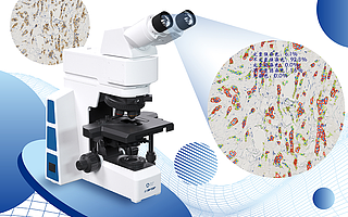 中国首款智能显微镜获批进入临床：AI加持，可升级算法支持新病种