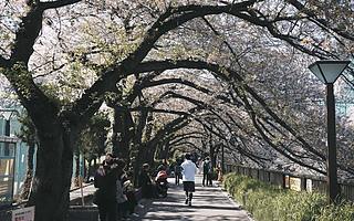 动察|报复性消费何时来？旅游业的艰难复苏之路