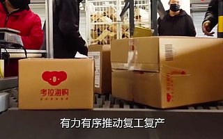 擴大進口！考拉海購采購量增長超6成，運動戶外和全球美食領頭