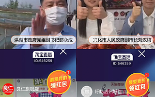 淘宝直播为虾疯狂！四大产区小龙虾隔空“打擂”