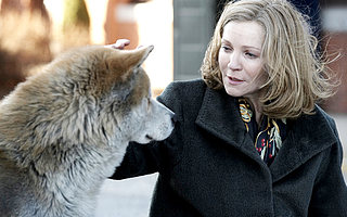 禁食狗肉，这次动真格了！