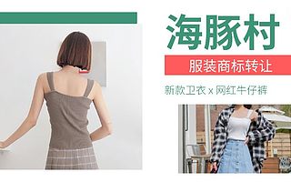25类海豚村商标转让