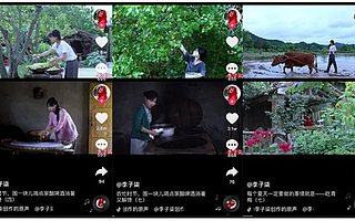 抖音美食博主派別分類