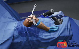 Precision OS與SIGN Fracture Care合作，為外科醫生提供VR外科手術培訓