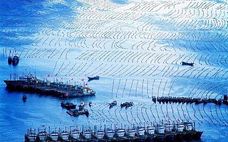 推進海上安全治理現(xiàn)代化,2020數(shù)字中國創(chuàng)新大賽助力智慧海洋建設(shè)