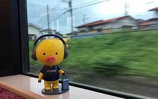 丽江一家酒店套餐爆卖10000份，五一“报复性旅游”要来了？