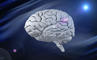 AI如何助力脑科学产业化