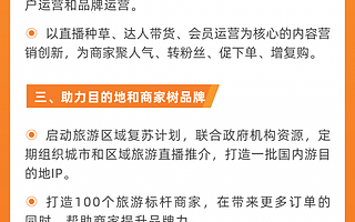服务商家在复苏中拥抱数字化，飞猪启动旅游版“春雷计划”