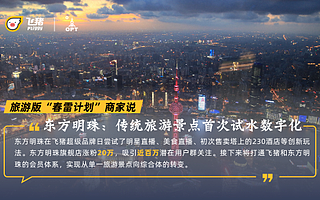 飞猪“春雷计划”商家说：迎接旅游报复性反弹的正确姿势