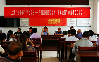 电商助农大有可为：拼多多一季度实现农村网店订单量超10亿笔