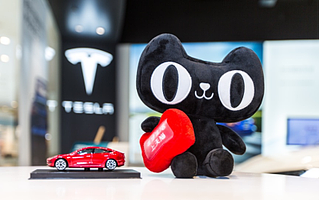 淘宝直播“带货”特斯拉，1小时引2600人下单