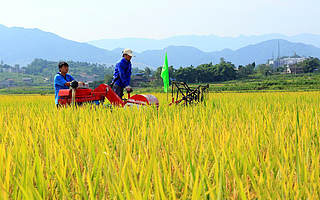 智慧农业解决方案服务商融资过亿元：一季度订单超去年全年 继续探索海外市场