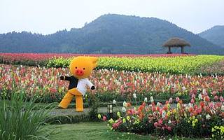 飞猪发布“杭州旅游新十景”，揭秘后浪们如何玩杭州