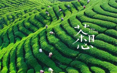 2020上海国际高端茶产业展览会