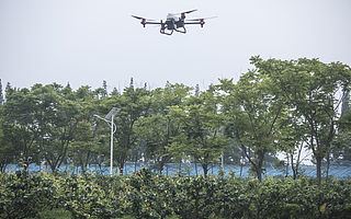 上海首个盒马村亮相:翠冠梨数字基地农民寄望“催冠离”赶走疫情