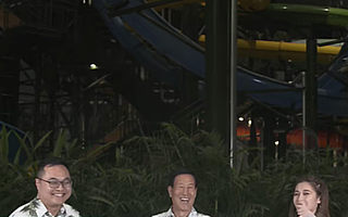 100位旅游BOSS要开飞猪直播 天猫618：“已安排！”