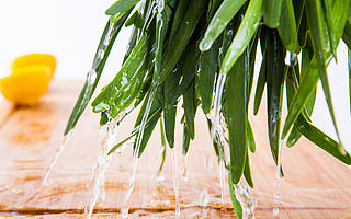 特斯拉降价，苦了自主新能源车