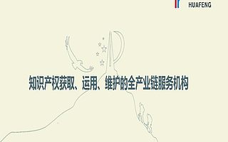国内发明专利申请