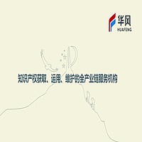 国内发明专利申请