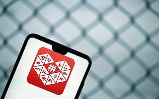 入局捞金，“过江龙”拼多多能掀起旅业多大浪？