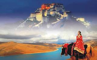 终于等来了这位1388岁的网红