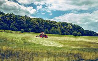 你在游戏里种田时，科技公司已经用AI种起了番茄